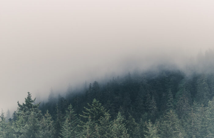 Alaska Fog Photo by Michael Caiati