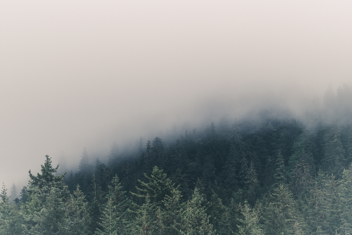 Alaska Fog Photo by Michael Caiati